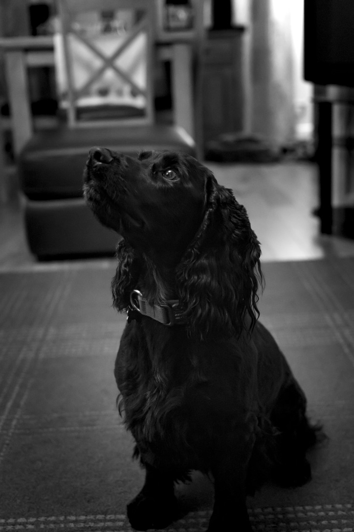 20EF37F6-B065-4157-94E6-BF4C8A6E96C5_1_105_c.jpeg